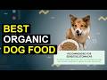 Top 5 Best Organic Dog Food | Top Natural Dog Food Picks
