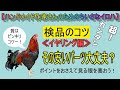 量産を始めるなら必ずやった方がいい！【仕入れパーツの検品】してますか？≪イヤリング・ネジバネ編≫　ジュエリーの現場で毎日やっていた大事なこと。