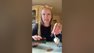 Classical Conversations Cycle 1 Science Experiment Week 13