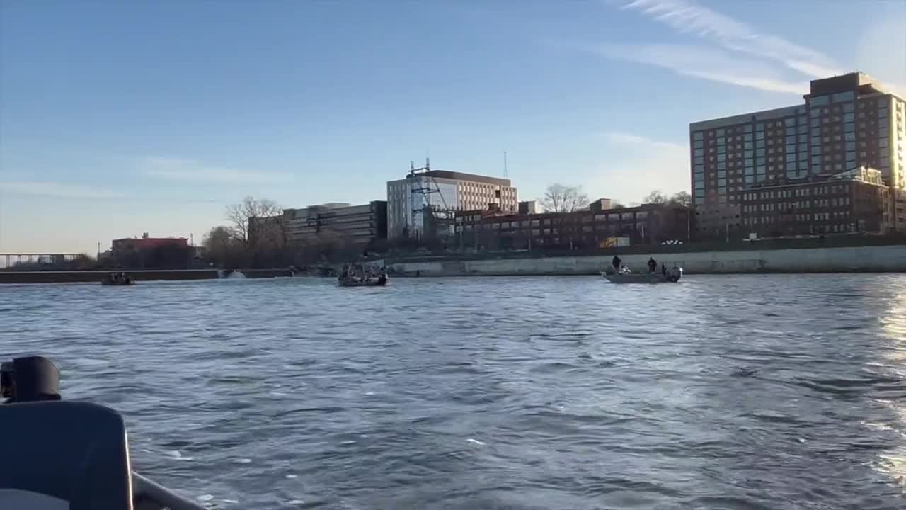 Chasing Steelhead in the heart of Grand Rapids