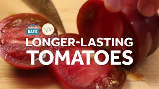 How to Make Your Tomatoes Last Longer