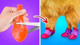 Priceless Hacks, Smart Gadgets And Easy DIYs For Pet Owners by 5-Minute Crafts TOP 6,705 views 1 year ago 11 minutes, 49 seconds