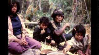 Yellow Leaf Hammocks - Changing the world, all from the comfort of a hammock!