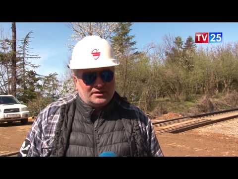 ხეების გადატანის გამო ბუკნარში განათების ბოძები ამოიღეს