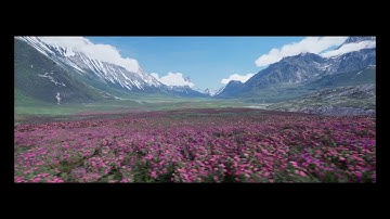 Unreal engine Environment Test