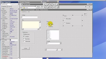 Conhecendo o Delphi   Aula 12   Propriedades do RadioGroup