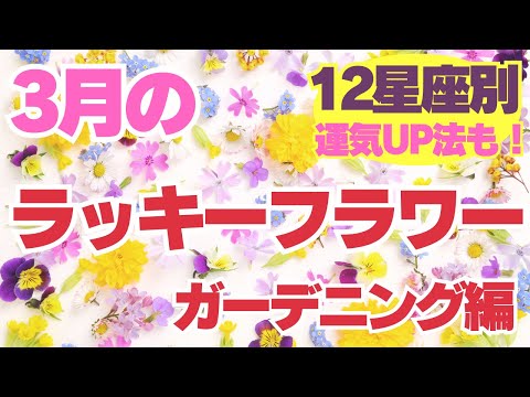 YUKIさませんようです 中島由貴❄4/25 写真集発売！ on X: 