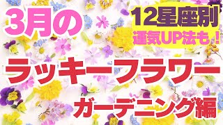 Professional astrologer Furuya gives a detailed prediction
