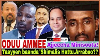 Taayyen baanda'Shimalis Hattuu' arrabsoo//Ajjeechaa minisoota//3/2/2025 AGM