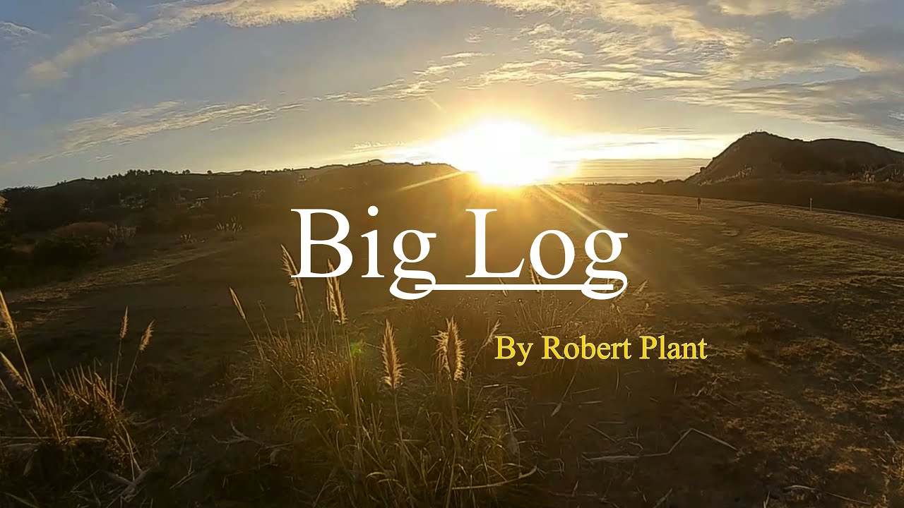 Big log перевод