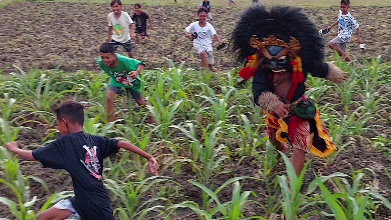 Barongan Ngamuk sampai masuk sawah !! Arak arakan barongan blora Taruno Adi Joyo live jepon