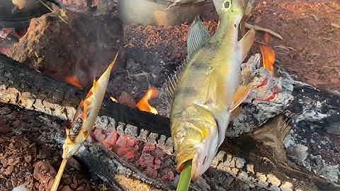 CÂU CÁ HOÀNG ĐẾ