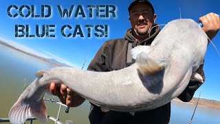 Brandon Marshall Catches A New PB! by muddyrivercatfishing 1,643 views 4 months ago 17 minutes
