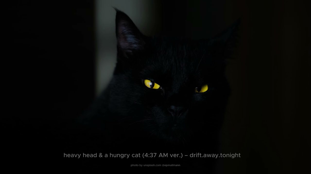 heavy head & a hungry cat (4:37 AM ver.) – drift.away.tonight [indie-pop/dream pop]