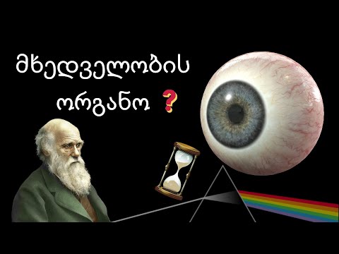🔴 რატომ ვცხოვრობთ წარსულში?