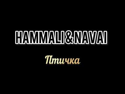 Птичка - Hammali x Navai