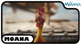 Heihei is back 🐓 | Moana @DisneyClubUK