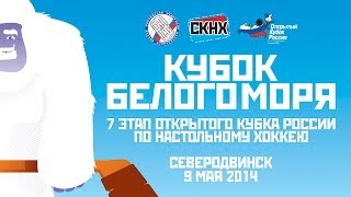 7 этап чемпионата России по настольному хоккею(, 2014-05-09T20:45:16.000Z)