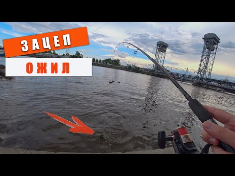 Video: Fish In Kaliningrad Style