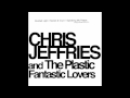 Chris jeffries and the plastic fantastic lovers  divided light