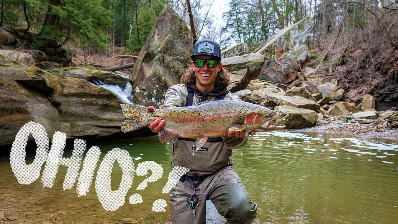 Прекрасная рыбалка на ручье Стилхед в Огайо!
