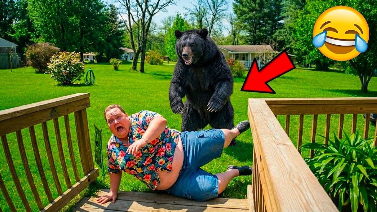 Instant Regret Moments Caught On Camera 😂 Viral Funny Fails Compilation ...
