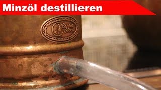🌷 Mint distillation 🌻 - distilling essential oils at home - diSTILLed (German, English subs)