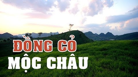 HÚT HỒN VẺ ĐẸP ĐỒI CỎ 68 MỘC CHÂU