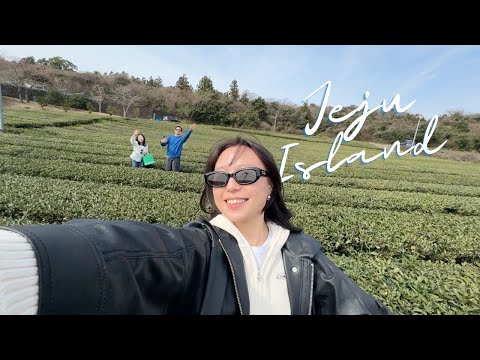 Korea Vlog | family reunions, Jeju Island & final nights in Korea