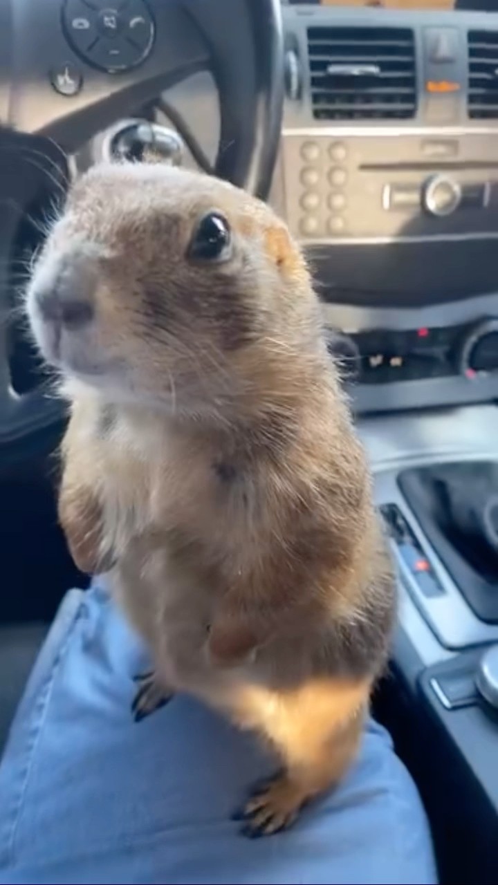 #JasonDeruloTV // Cute!  #GotPermissionToPost From IG @prairiechuck_ #HandsOnMe