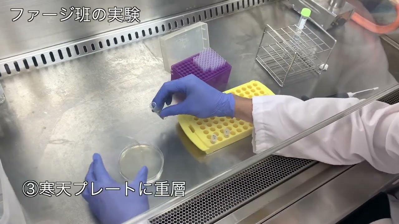 活動歴および当時の関連ビジュアル記録