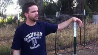 Home Vineyard: Growing Wine Grapes at Home