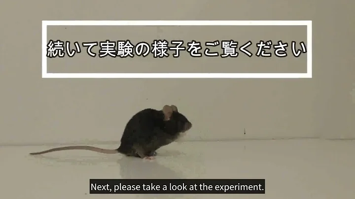 Laboratory of Food Immunology, Department of Agriculture, Graduate School of Science and Technology - 天天要闻