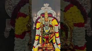 #murugan #ayyapanpoojai #godbless #godslove #muruganthunai #murugar #palani #palanimurugan