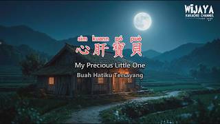 心肝寶貝 (Xin Gan Bao Bei) - 鳳飛飛 🎤 Lyrics Video (Pinyin   English & Indonesian)