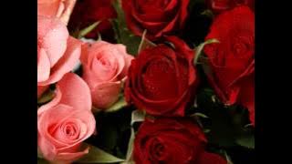 Cheik Mahamat Ahmat :dénonce Le regime injuste D'idriss Deby Itno au Tchad