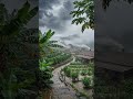 Heavy Rain in Village | Relaxing Rain Sounds for Sleep #shorts #rain
