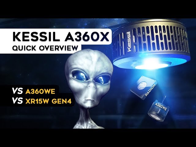 Kessil A360X Tuna Blue Review and Unboxing vs Radion XR15W G4 Pro