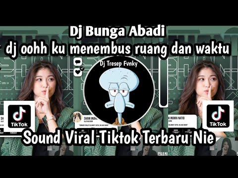 DJ BUNGA ABADI - DJ OOHH KU MENEMBUS RUANG DAN WAKTU BY AKMALROPIK SOUND VIRAL TIKTOK TERBARU NIE