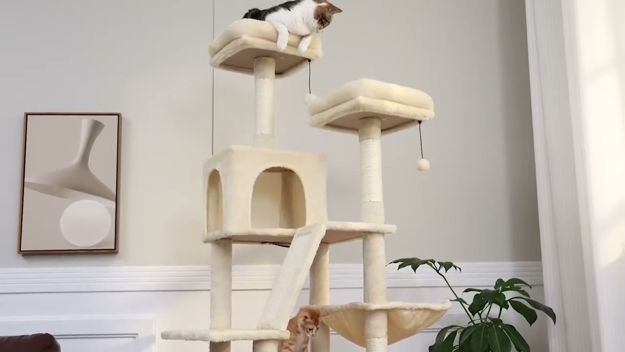 46 Inch Cat Tree Aesthetic For Large Cats, With Scratching Posts, Perches & Real Branch Design, Sturdy Base - Luxury Gift For Cat Lovers