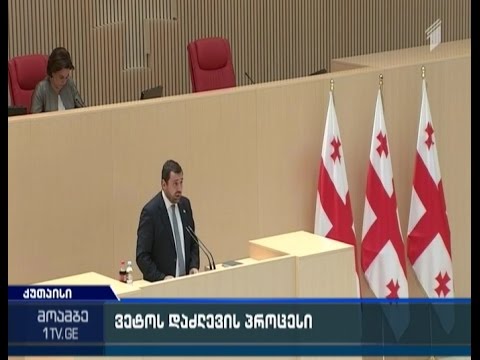 საპარლამენტო უმრავლესობა ვეტოს დასაძლევად ემზადება