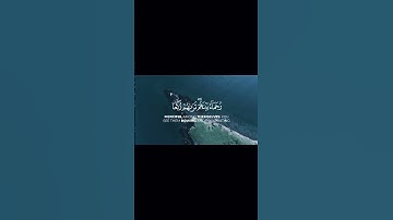 محمد رسول الله والذين معه اشداء على الكفار ياسر الدوسري سورة الفتح ✨️ #اكسبلور #quran