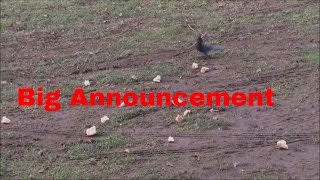 Hungry Birds
Big changes are coming and my celebration of a 500 subscribers goal. Hungry Birds