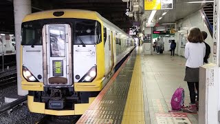 E257系 NB-15編成 特急新宿さざなみ1号館山行の送り込み回送が新宿駅7番線に入線するシーン