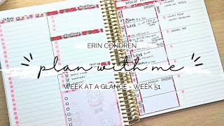 WEEK AT A GLANCE PLAN WITH ME | DAILY DUO | ERIN CONDREN | DAILY DUO PLAN WITH ME | PLAN WITH ME