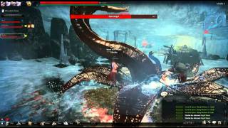 Vindictus- Frost Stone Boss Fail