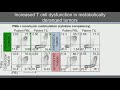 Tumor Microenvironment Metabolism: effects on anti-tumor and pro-tumor immunity