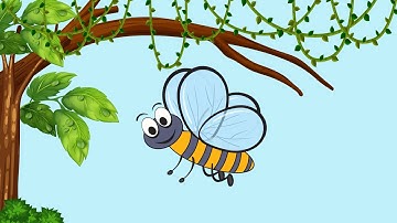 Life Cycle Of A Butterfly - Educational Video - For Kids And Children