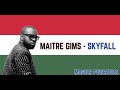 Maitre Gims - Skyfall [MAGYAR FELIRATTAL]