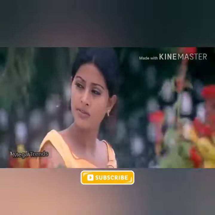 Good Morning whatsapp status - vaseegara - Thalapathy vijay - sneha